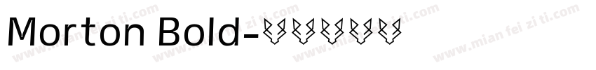 Morton Bold字体转换